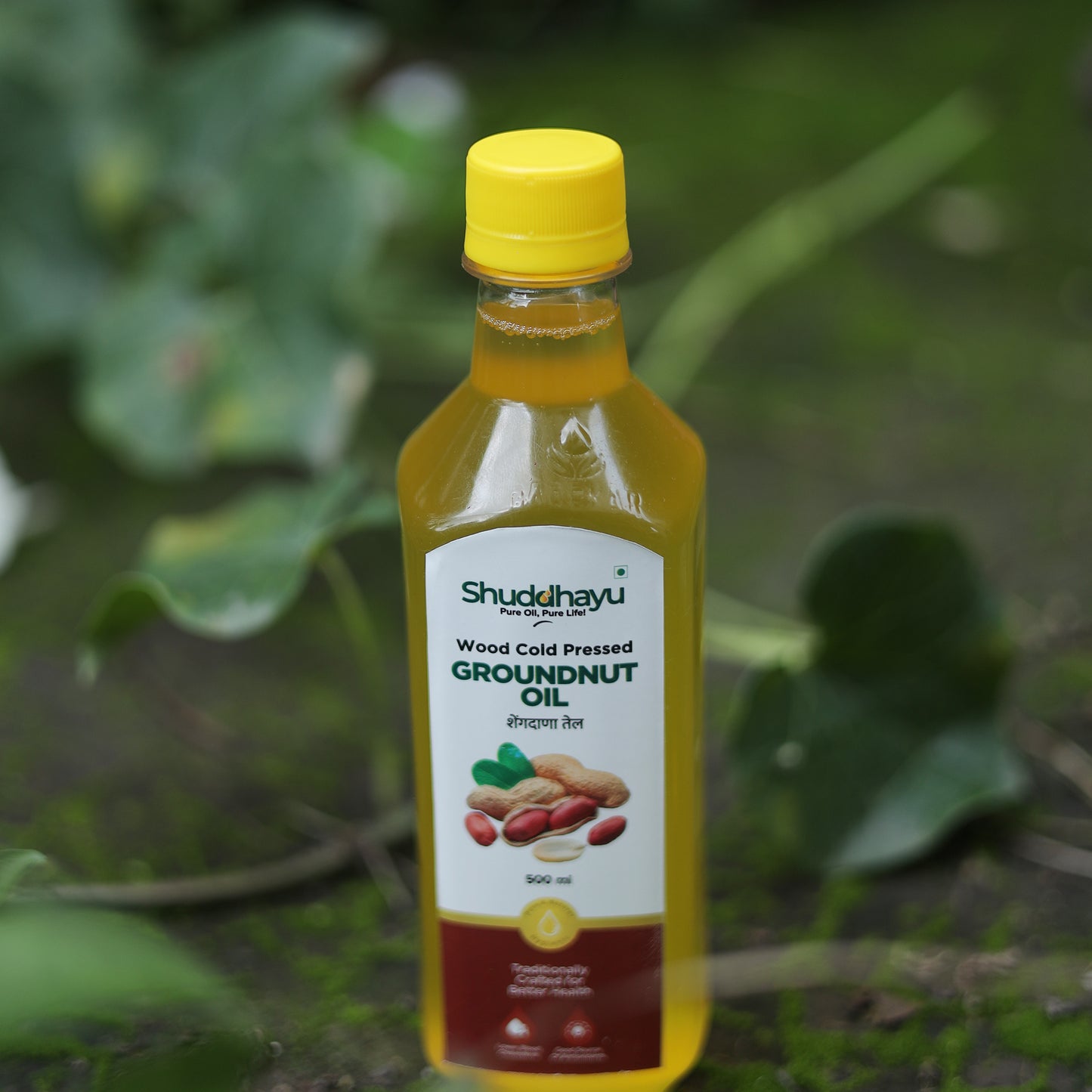 Wood Cold-Pressed Groundnut (Peanut) Oil