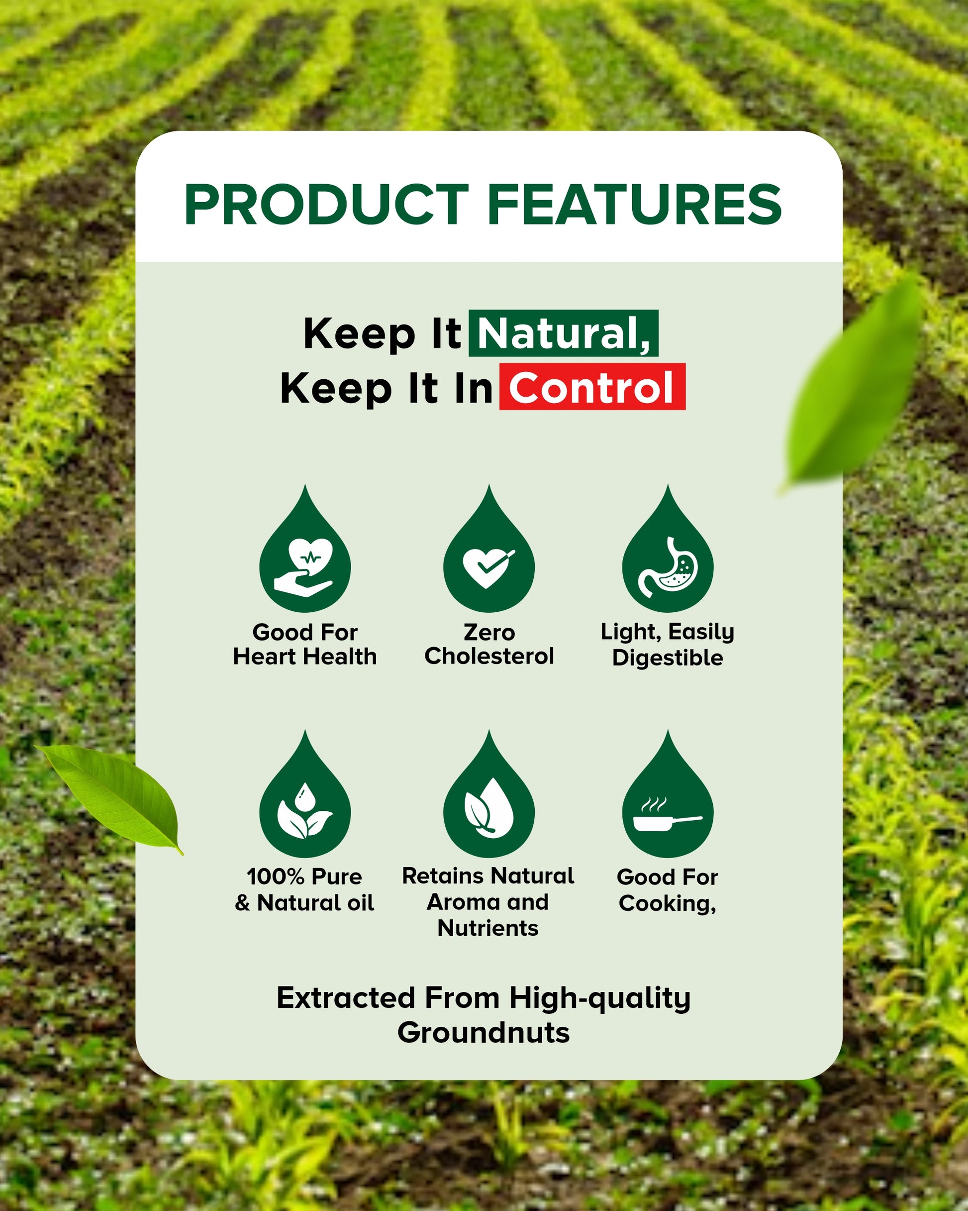  – shuddhayu wood cold pressed oil